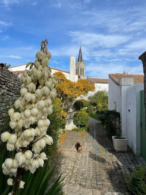 Maison De Charme A La Couarde-Sur-Mer Exteriör bild